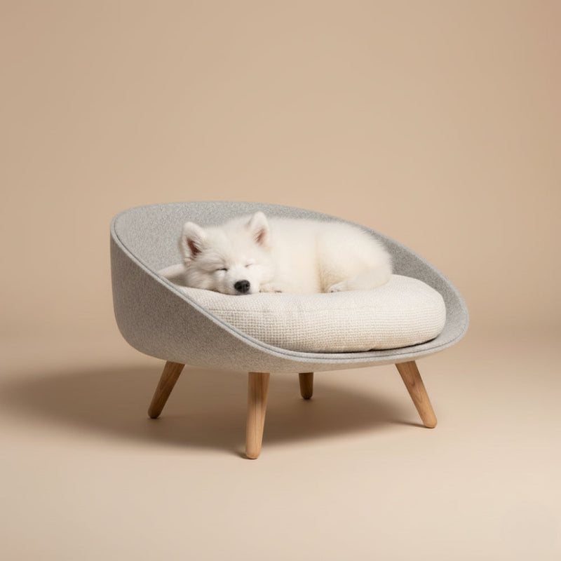 Paniers pour Chien Design
