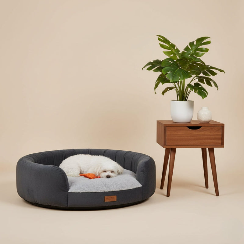 panier chien interieur