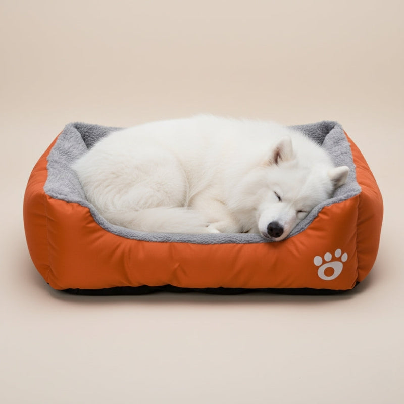 Paniers pour Chien Oranges