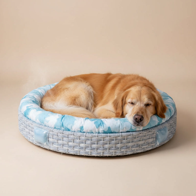 panier chien rafraichissant