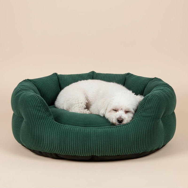 panier chien velours