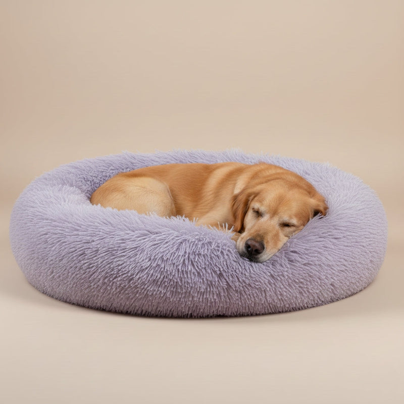 Paniers pour Chien Violets