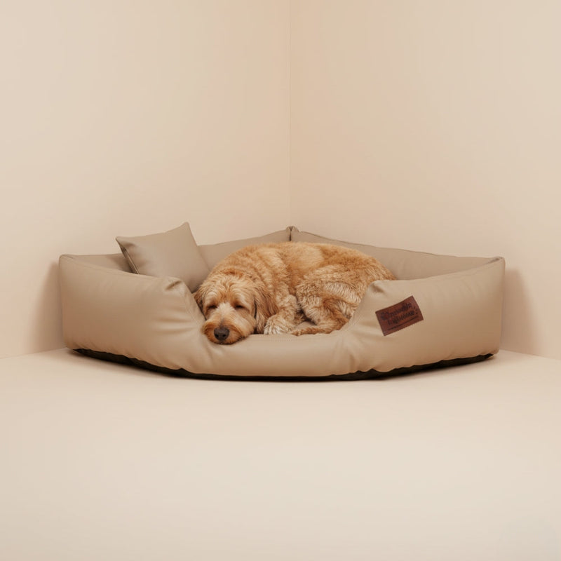 paniers d'angle pour chien