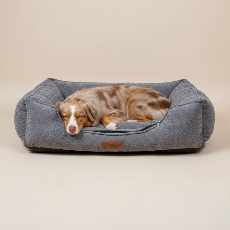 Paniers pour Chien Déhoussables