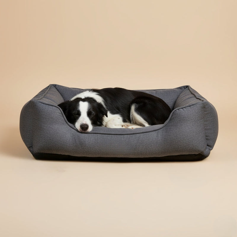 Paniers pour Chien Anti-Odeurs