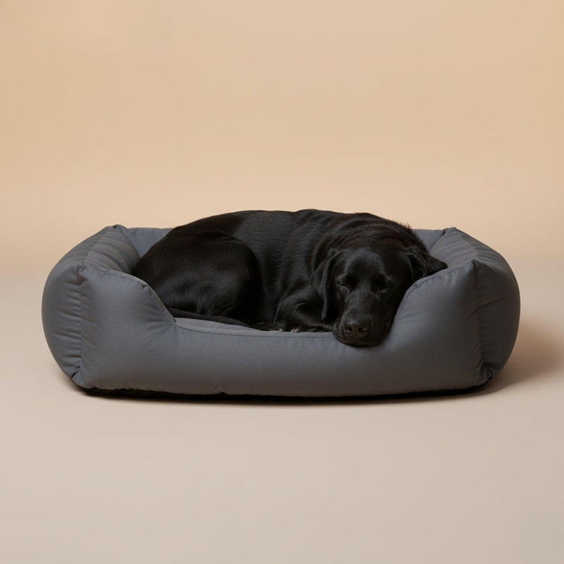 Paniers pour Chien Anti-Poils