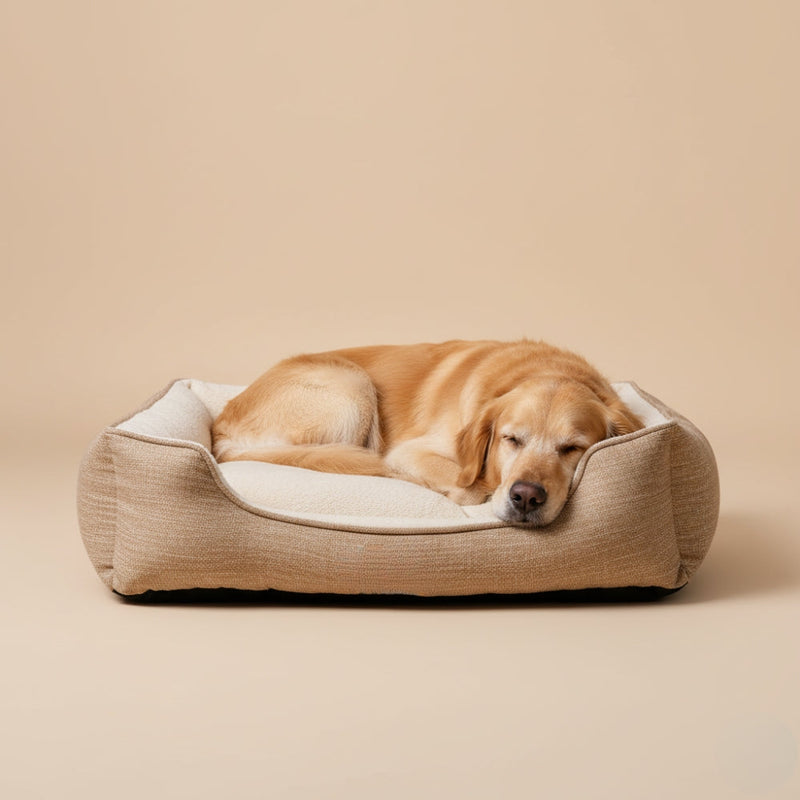 Paniers pour Chien Beiges