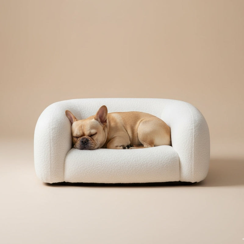 Paniers pour Chien Blancs