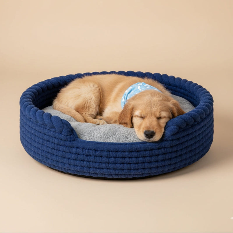 Paniers pour Chien Bleus