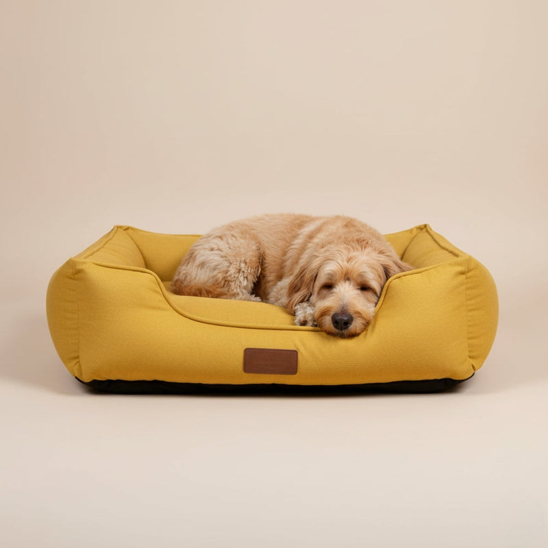 panier pour chien jaune