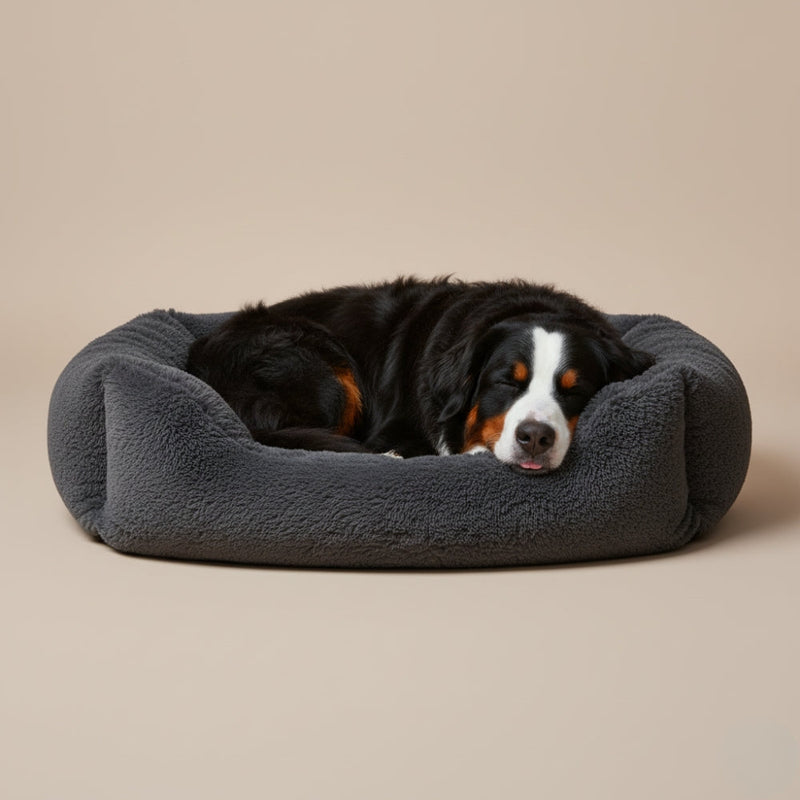 Paniers pour Chien Moelleux