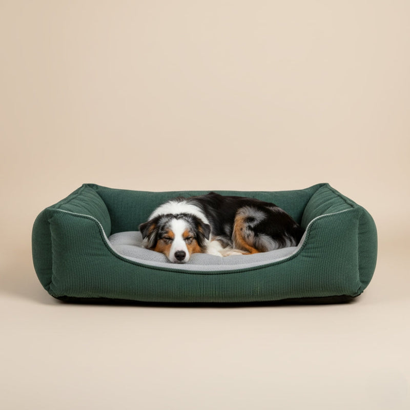 Paniers pour Chien Moyen