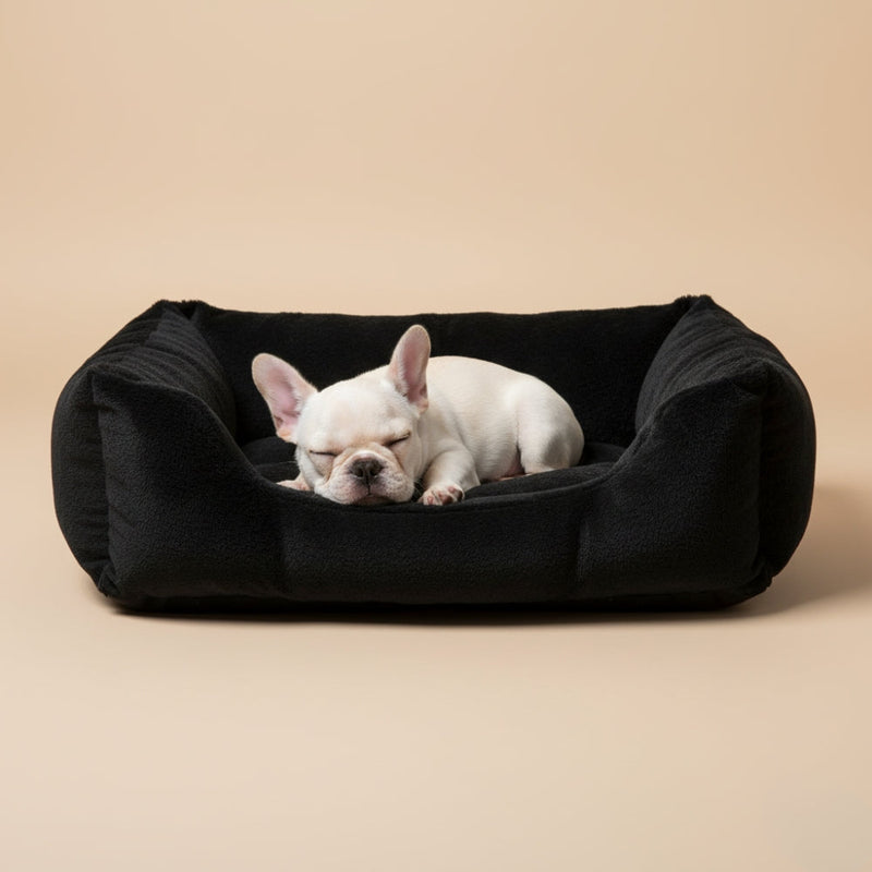 Paniers pour Chien Noirs