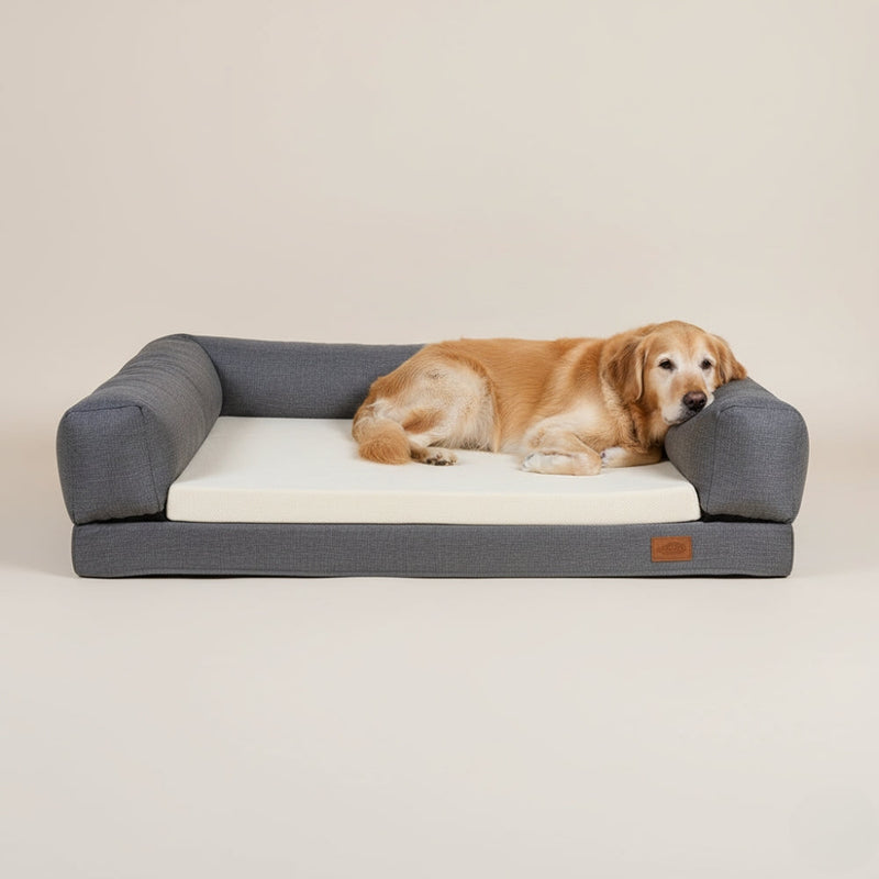 panier pour chien orthopediques