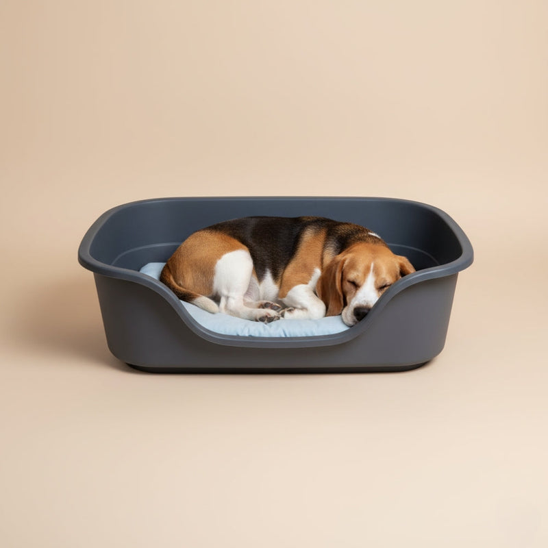 Paniers pour Chien Rigides