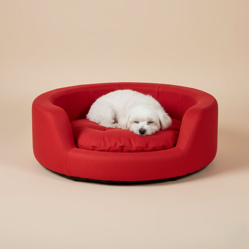 Paniers pour Chien Rouges