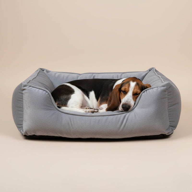 Paniers pour Chien Souples