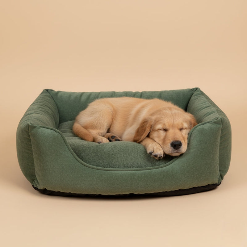 Paniers pour Chien Verts