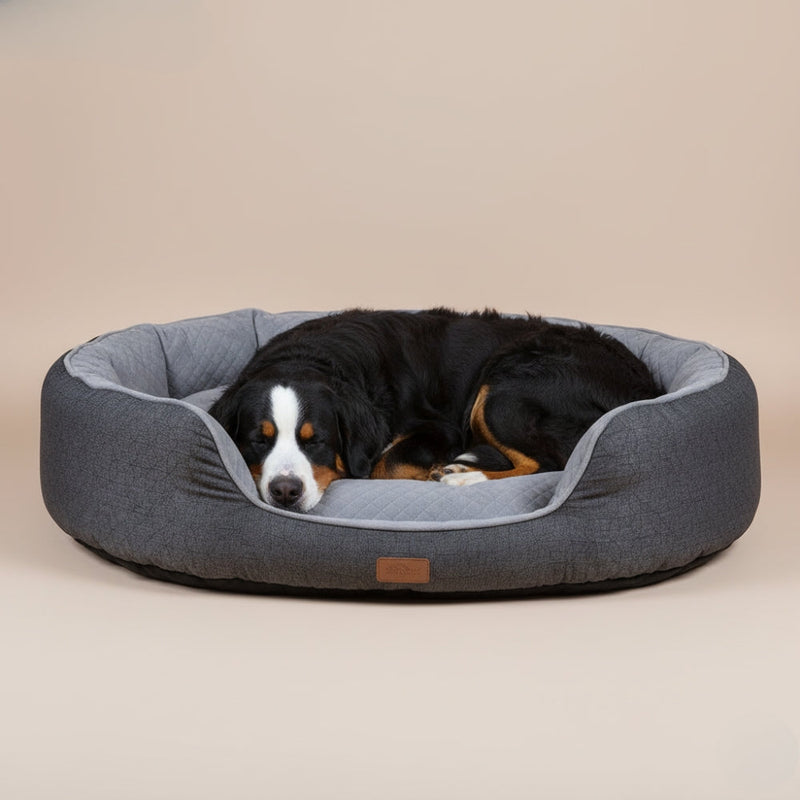 Paniers pour Grand Chien