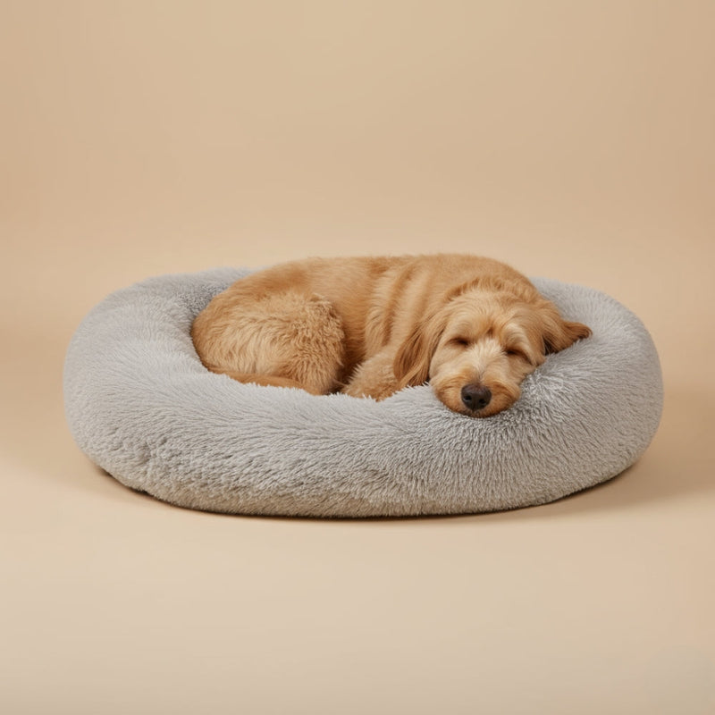 Paniers pour Chien Anti-Stress