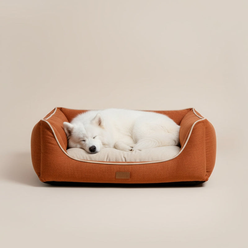 paniers pour chien avec coussin