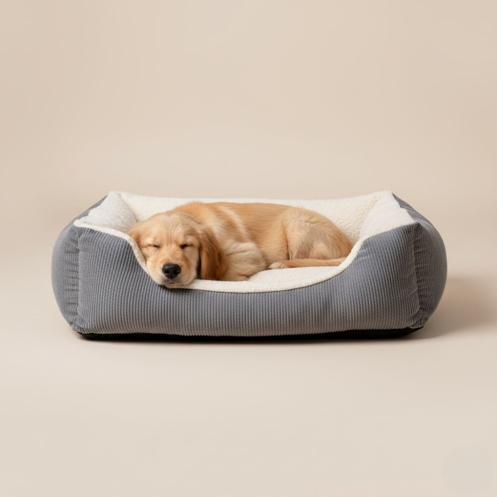 Paniers pour Chien avec Rebord