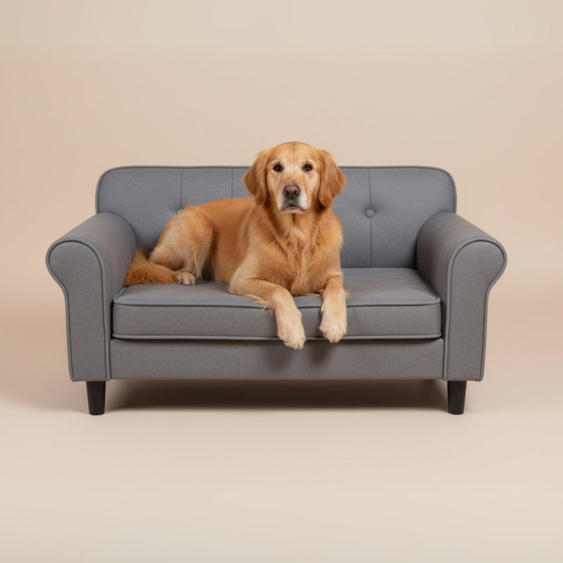 paniers canapé pour chien