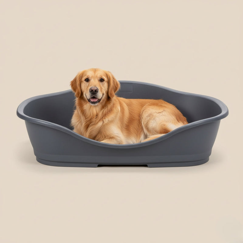 Corbeilles pour Chien