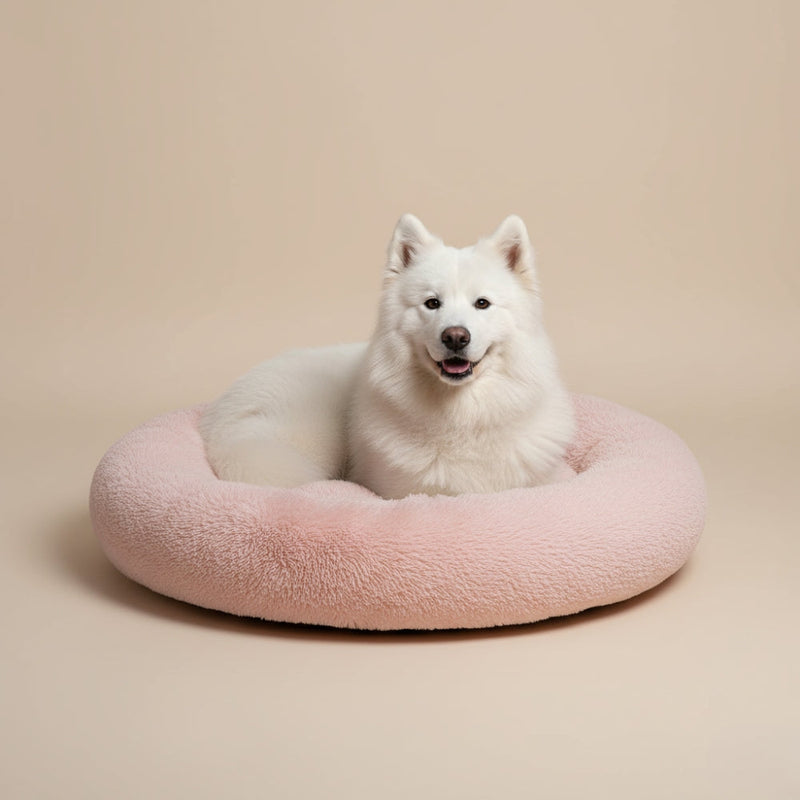 paniers-pour-chien-donut