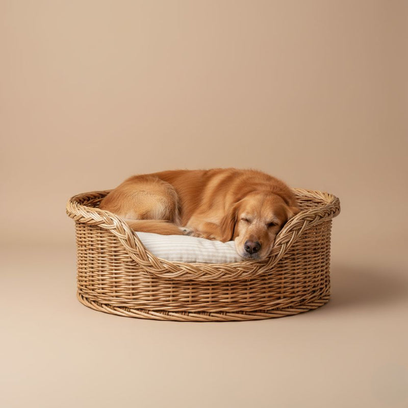 Paniers pour Chien En Osier et Rotin