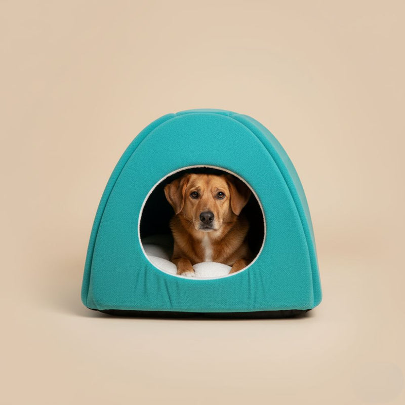 Paniers Igloo pour Chien