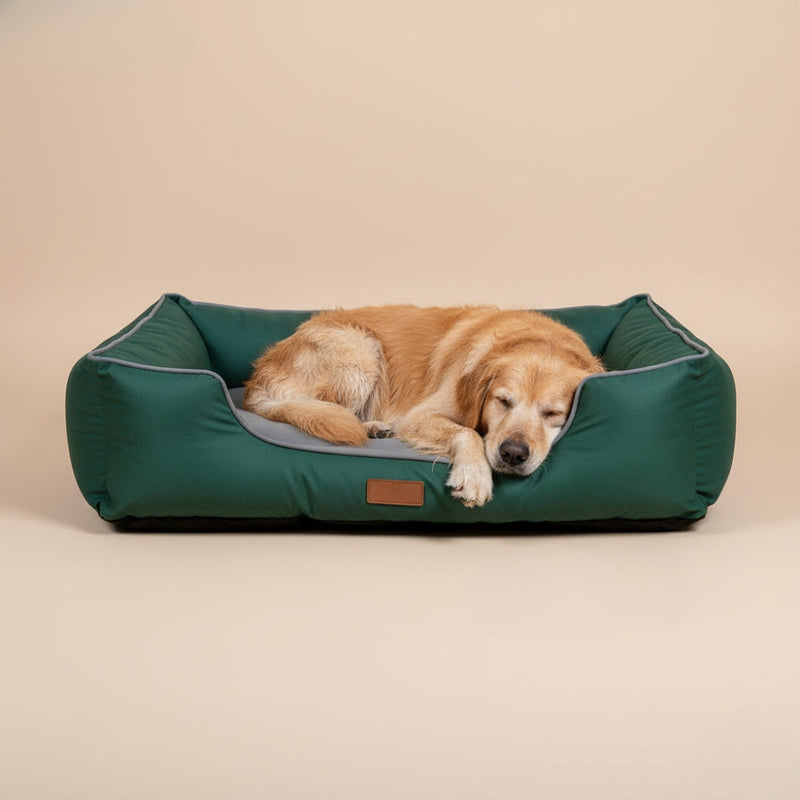 Paniers pour Chien Imperméables