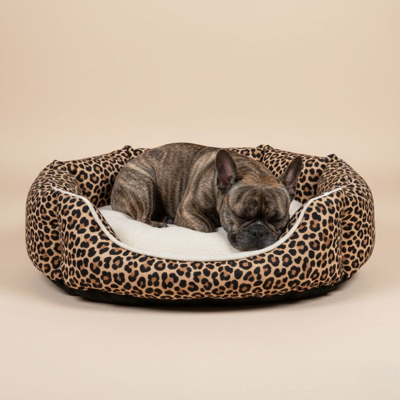 Paniers pour Chien Léopard