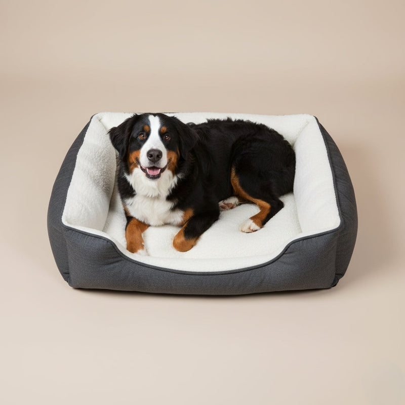 paniers pour chien rectangulaires