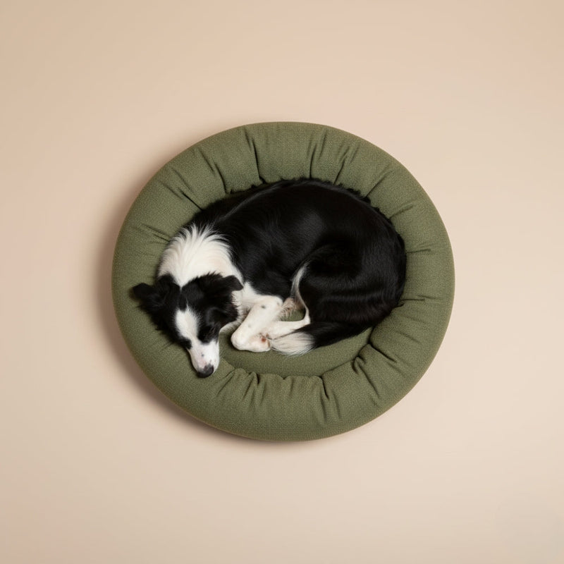 Paniers pour Chien Ronds