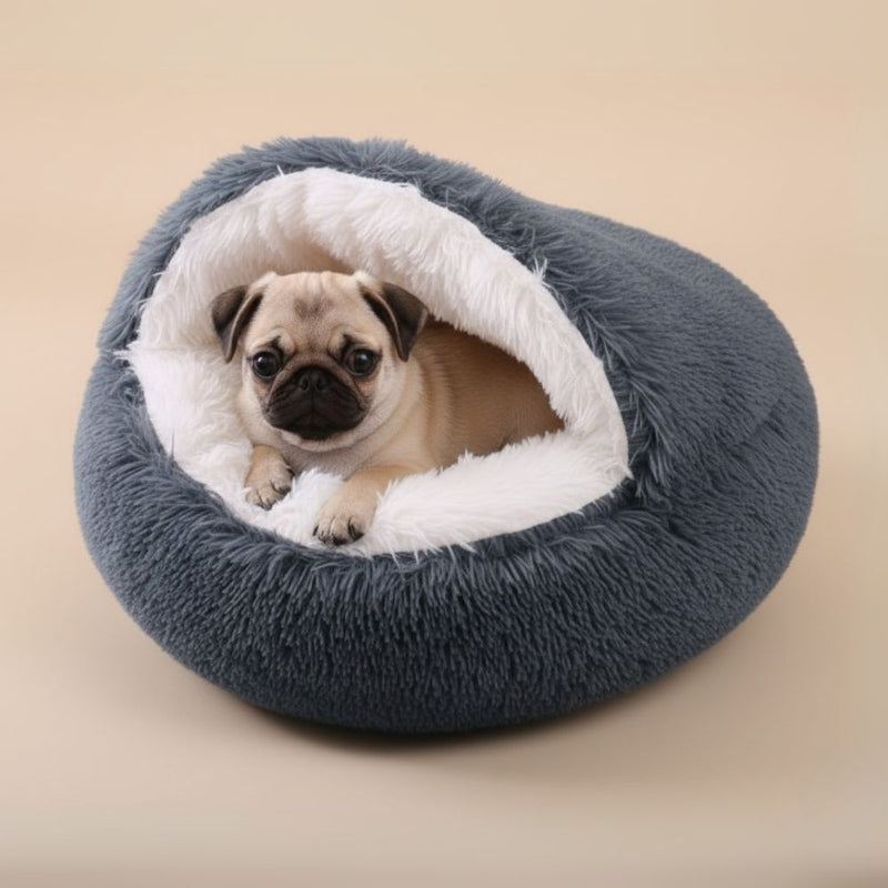 Paniers pour Chien Semi-Fermés