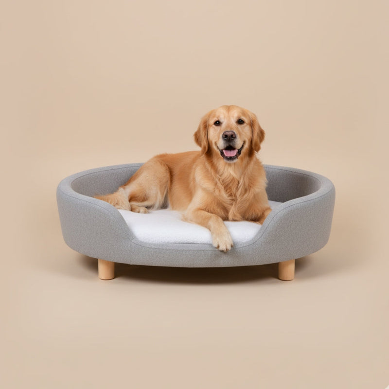 Paniers pour Chien sur Pied