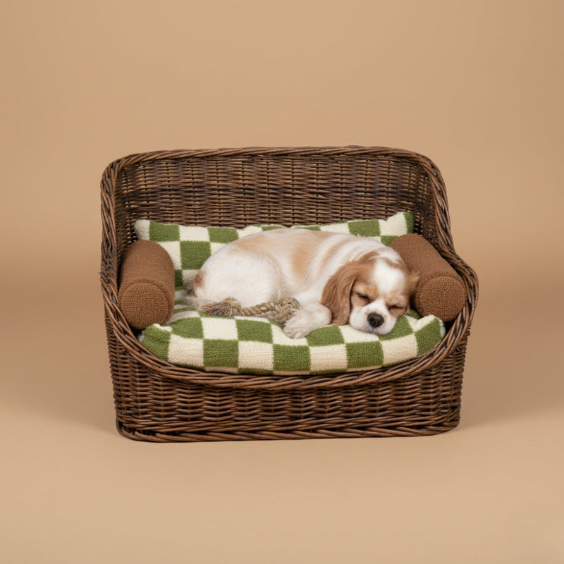 Paniers pour Chien Vintage