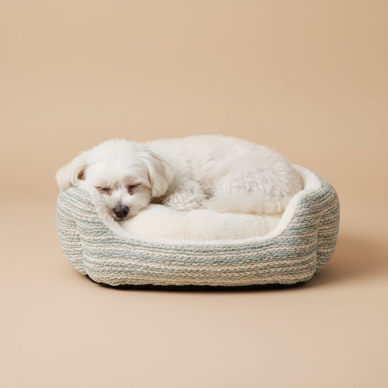 paniers pour petit chien