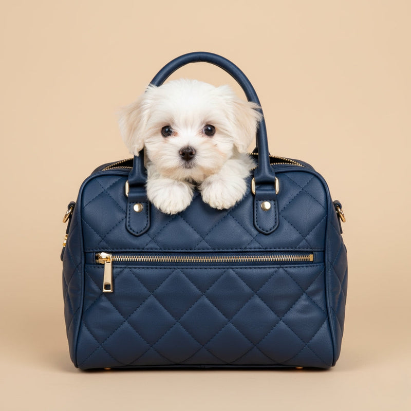 Sacs à Main pour Chien