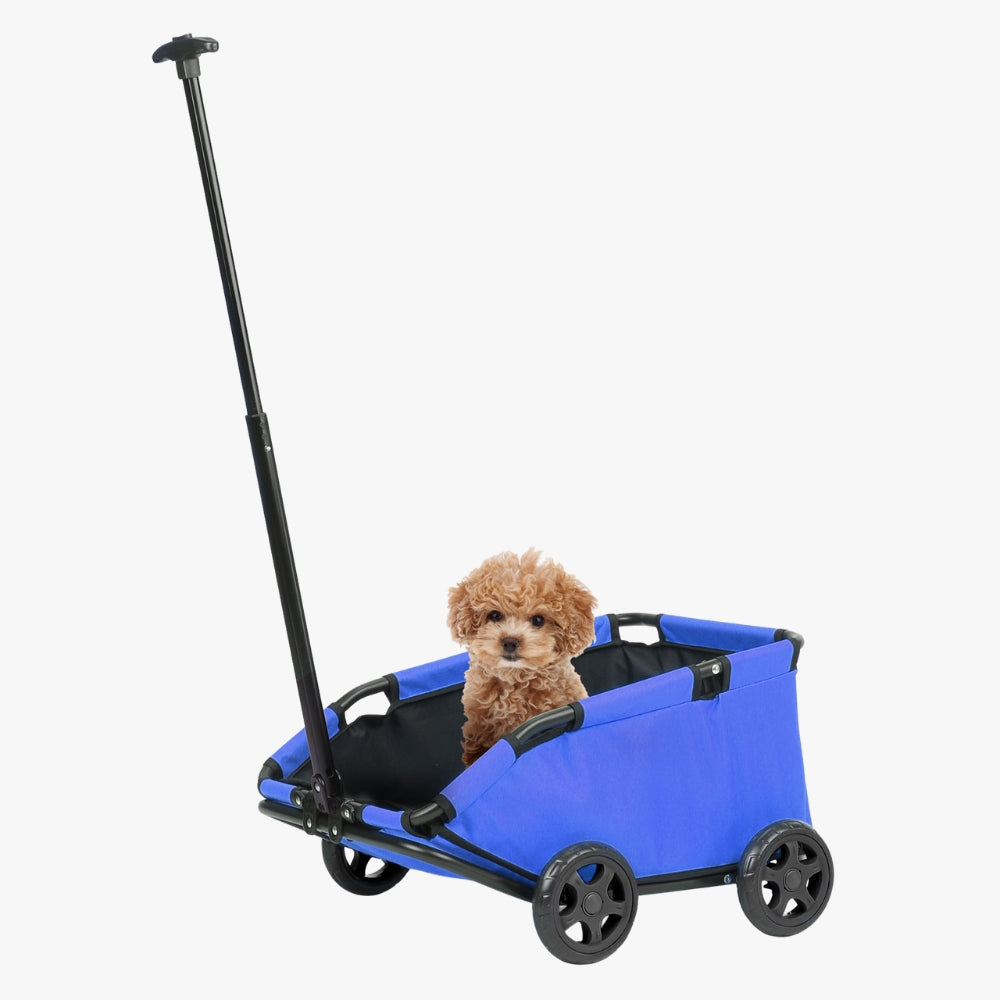 chariot-de-transport-pour-chien-bleu