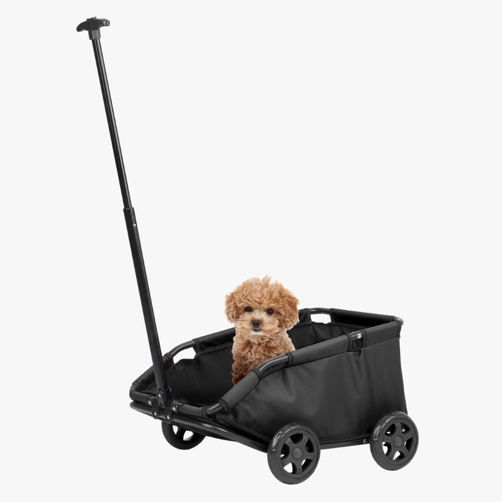 chariot-de-transport-pour-chien-noir