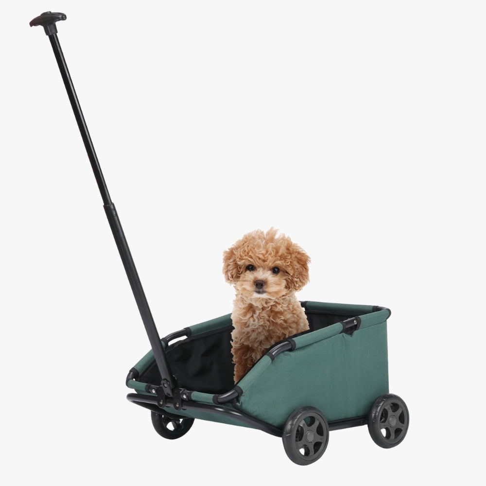 chariot-de-transport-pour-chien-vert