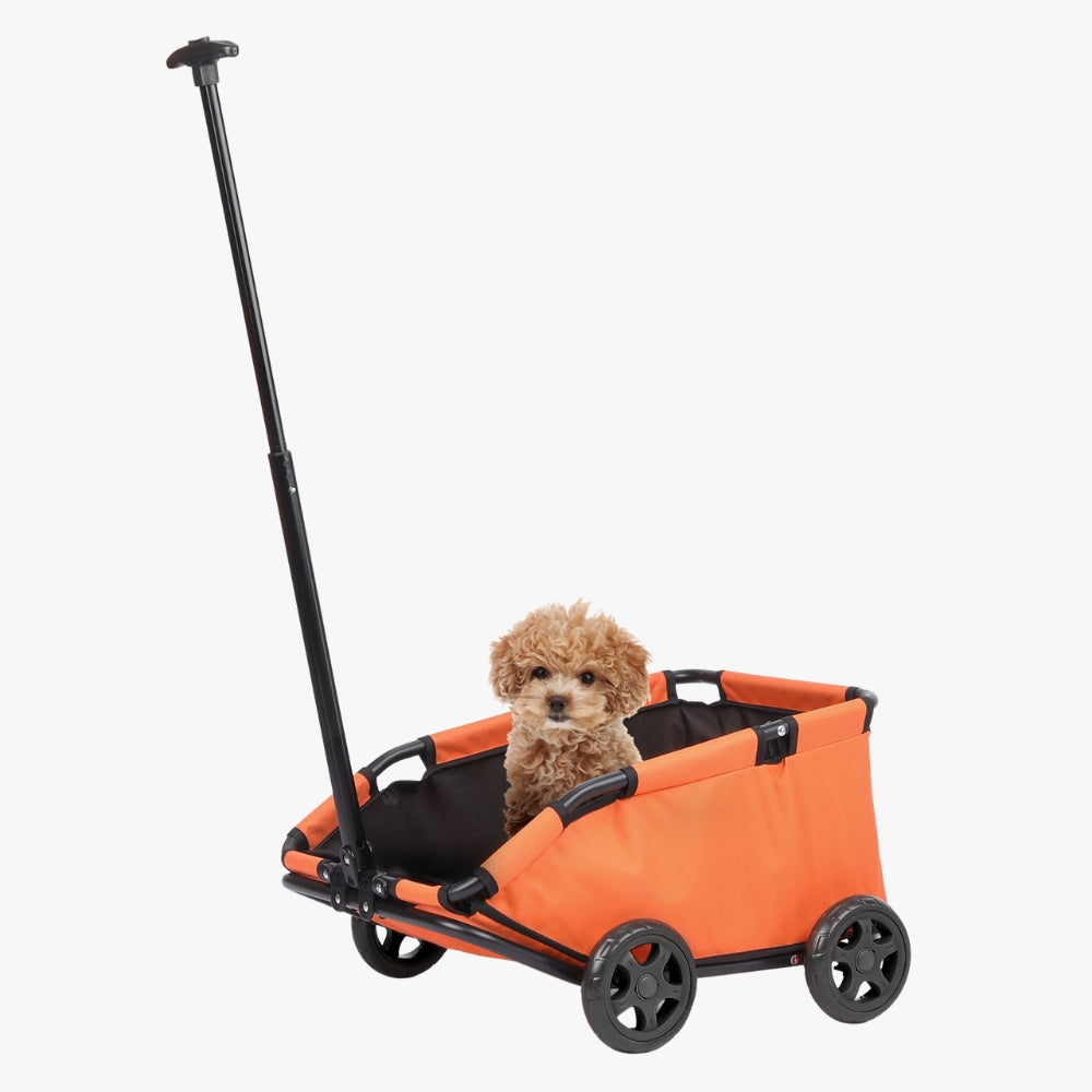 Chariot de Transport pour Chien