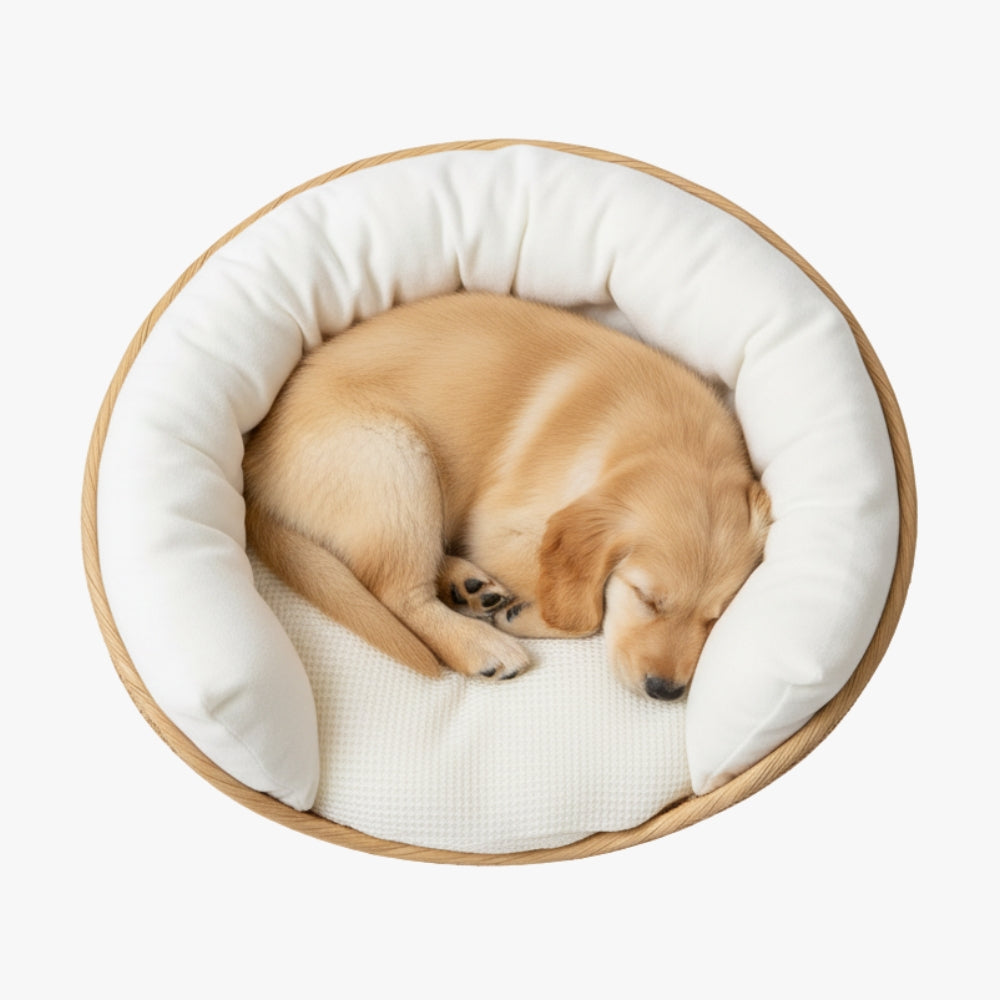 corbeille-pour-petit-chien-tressee-haut