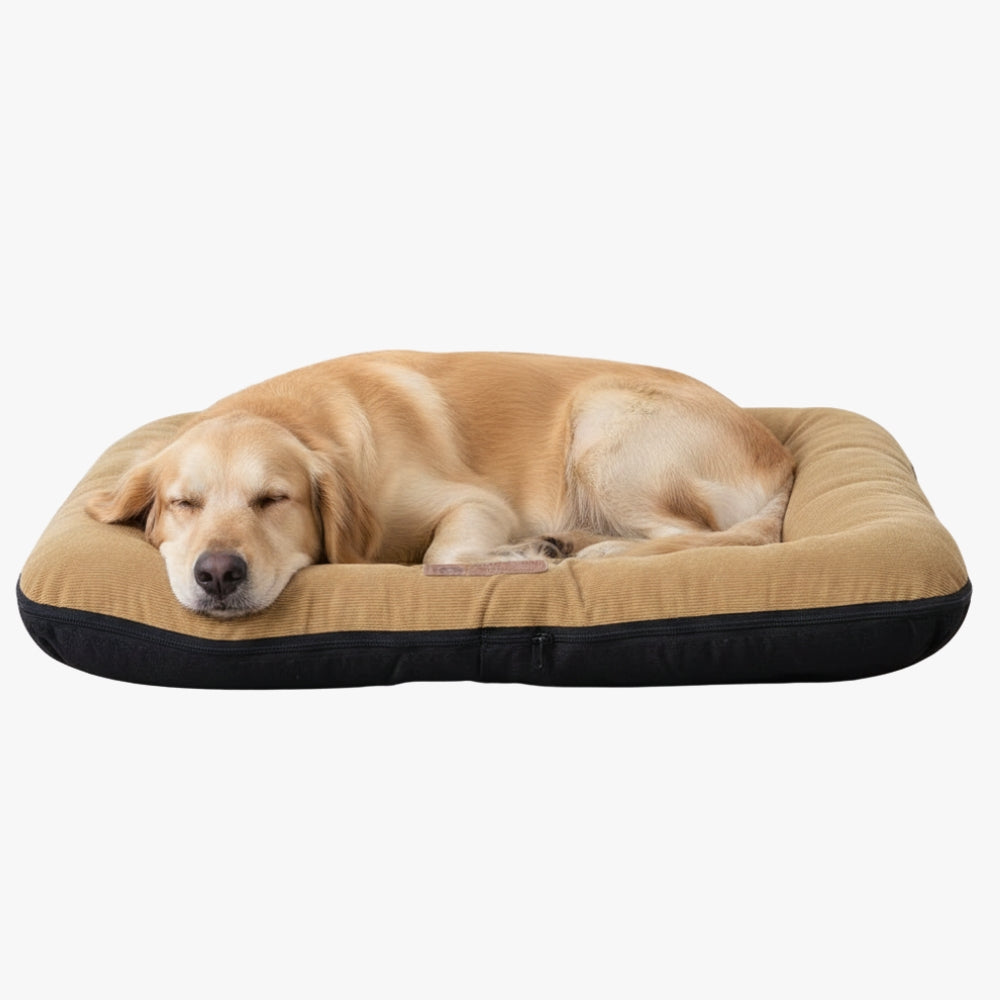 coussin-moelleux-pour-chien-dehoussable-beige