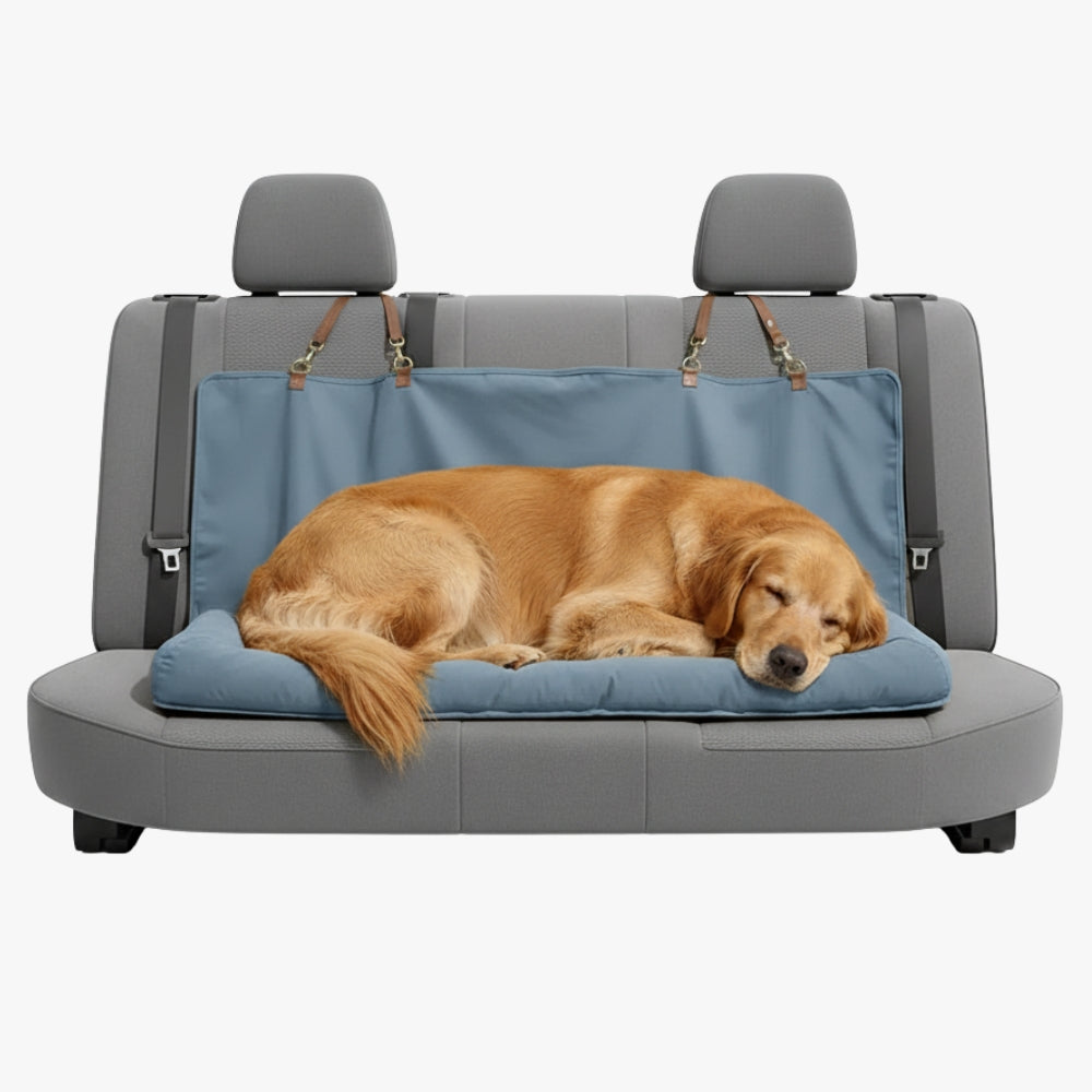 coussin-pour-banquette-arriere-pour-chien