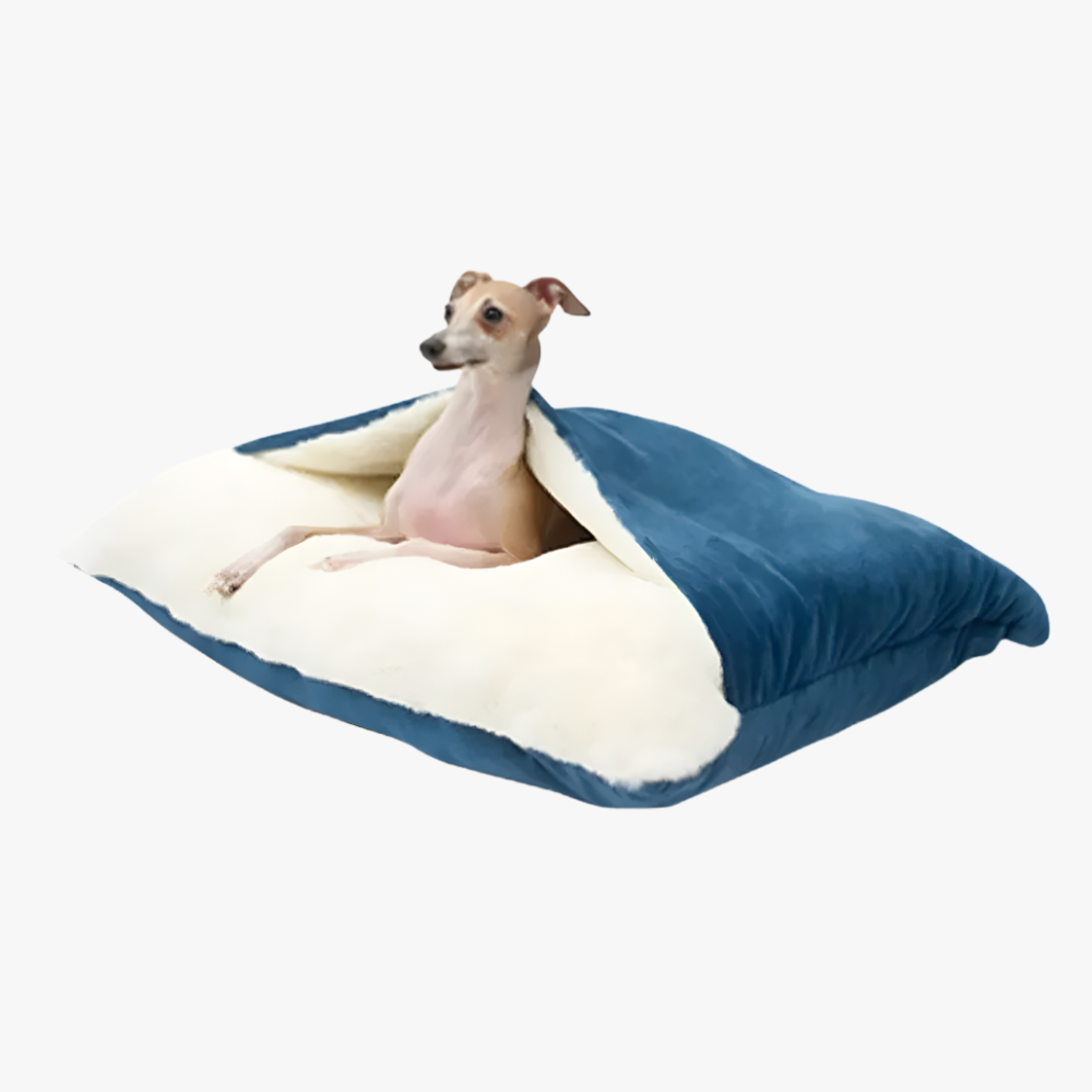 coussin-pour-chien-avec-couverture-bleu