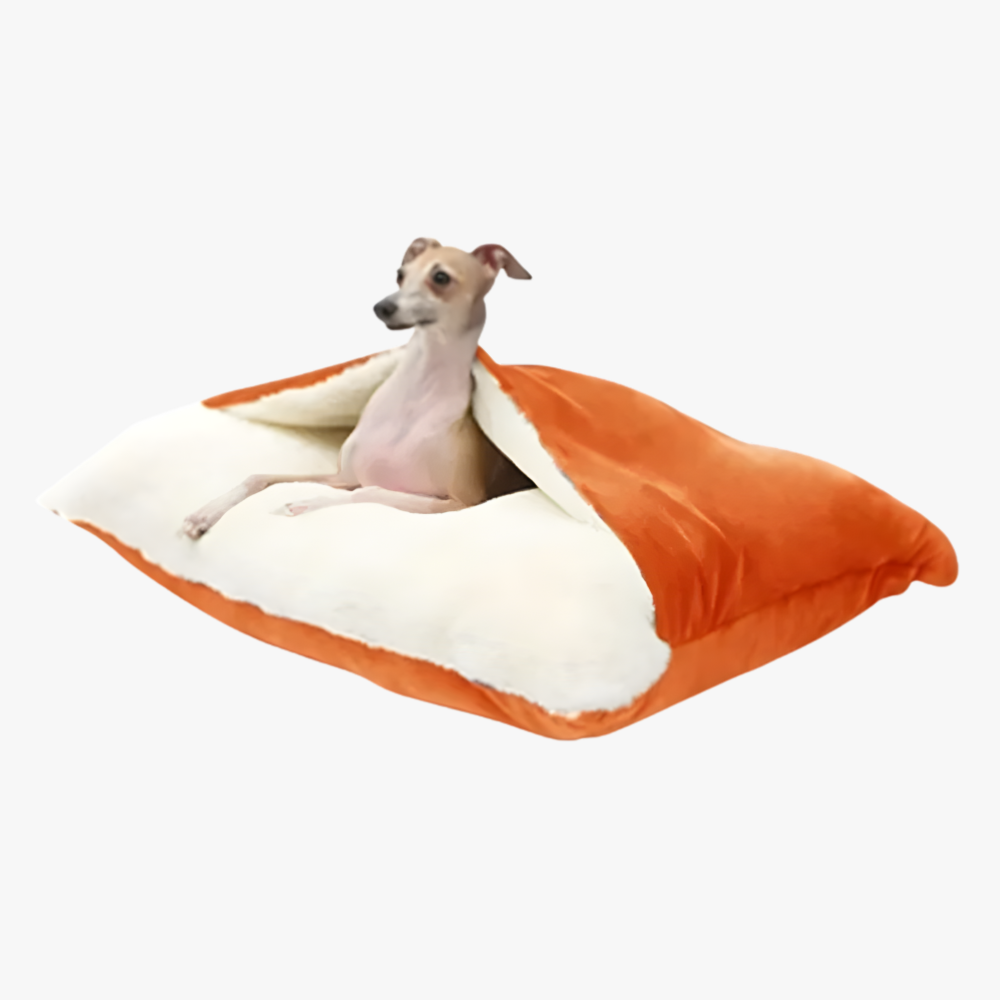coussin-pour-chien-avec-couverture-orange
