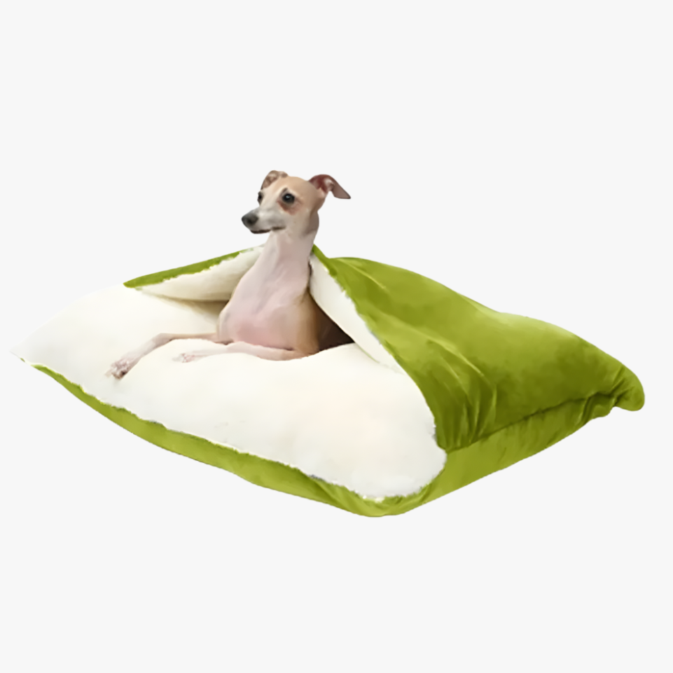 coussin-pour-chien-avec-couverture-vert-angle